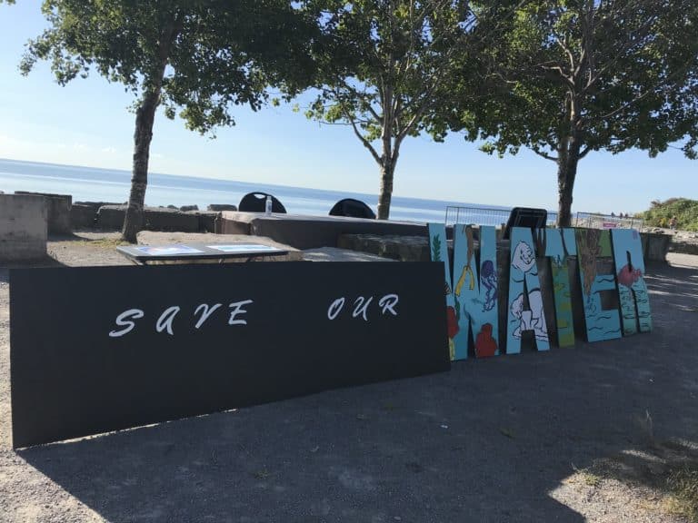 Feature image - a picture of the mural