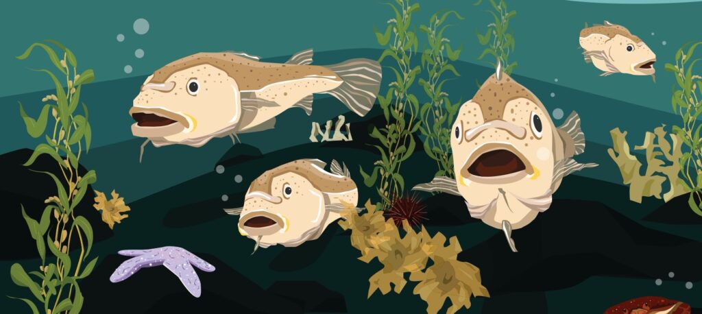 Átl’ḵa7tsem – Txwnéwu7ts Howe Sound Education Kit