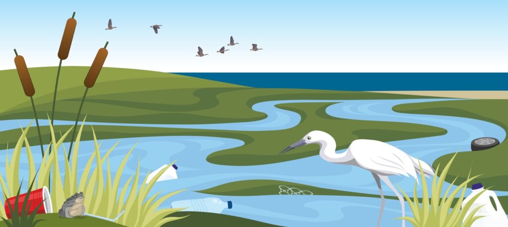 Kit Educativo Sobre Los Plásticos Oceánicos 