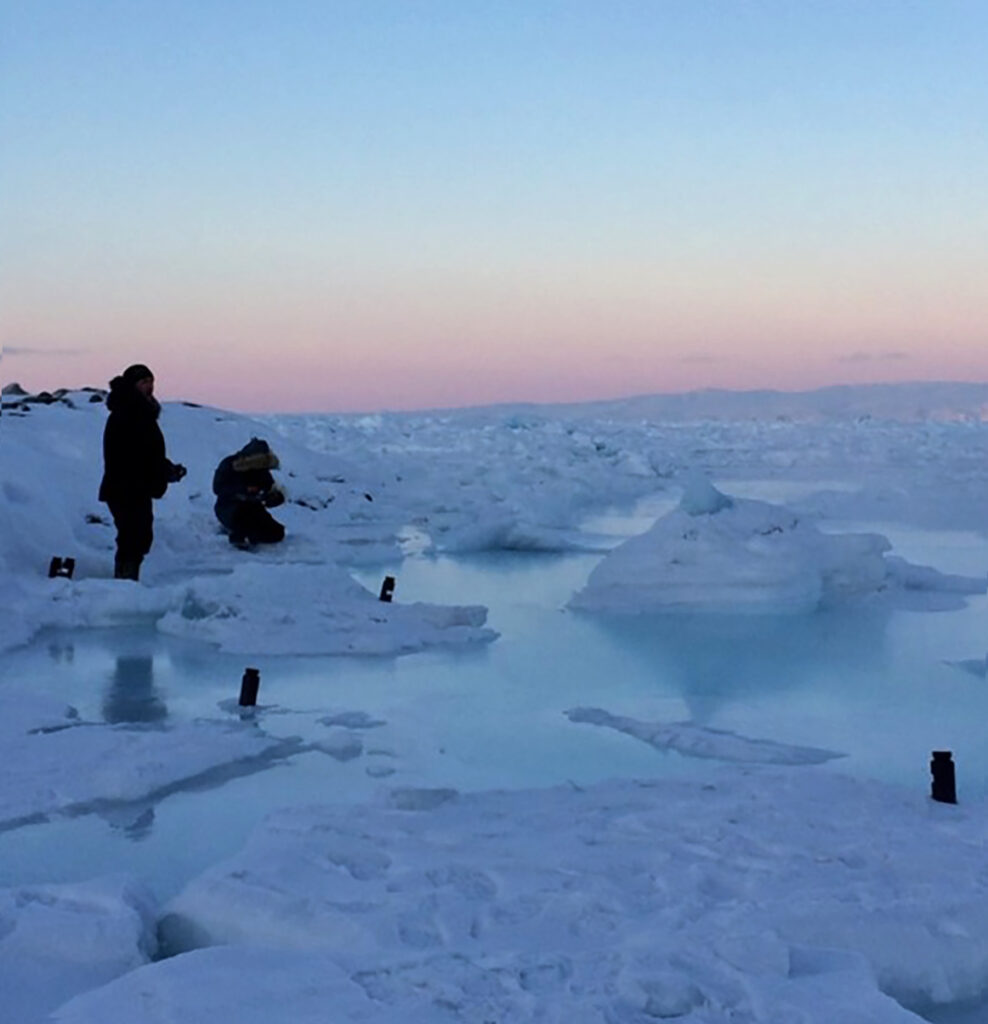 Changing Arctic