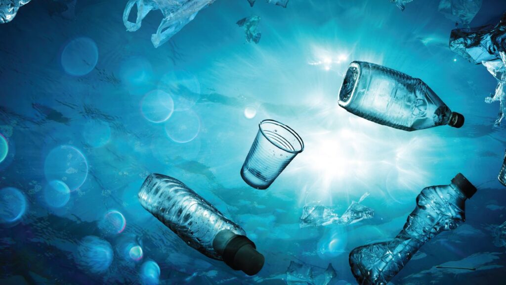 L’apprentissage de la réduction du plastique avec Ocean Wise