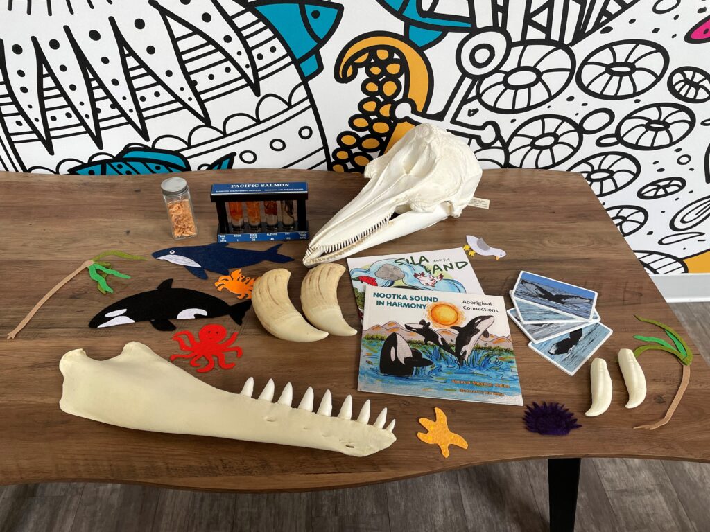 Discovery Kits
