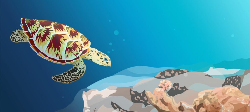 Species at Risk Education Kit